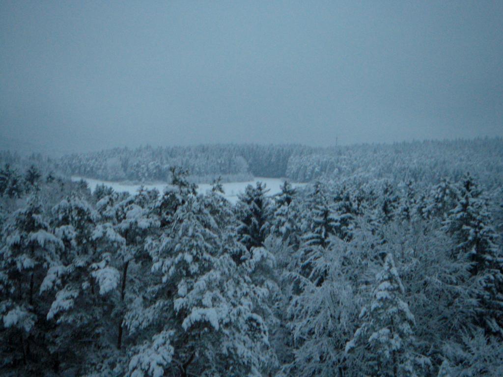 Gasthof Jaegerheim Birgland Exteriér fotografie