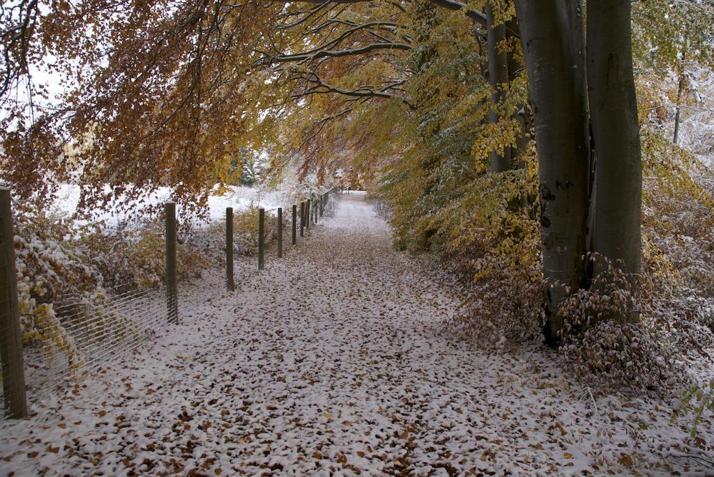 Gasthof Jaegerheim Birgland Exteriér fotografie