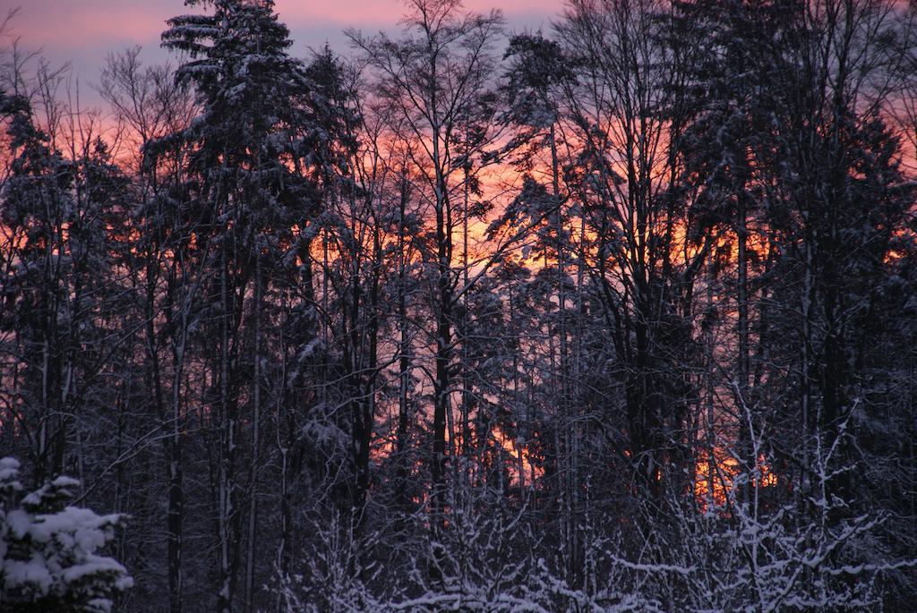 Gasthof Jaegerheim Birgland Exteriér fotografie